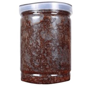 শাহী হালুয়া